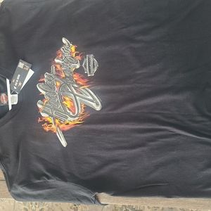 Harley davidson 2x black